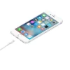 Apple Lightning to USB Cable - 1M - Image 2